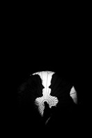 xxxxxx